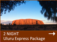special 2 nights