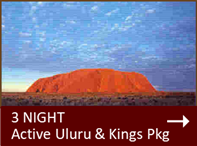 special 2 nights