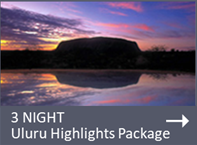special 2 nights