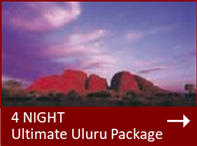 special 2 nights