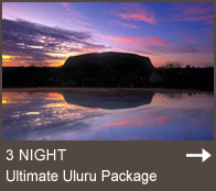 special 2 nights