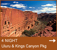 special 2 nights